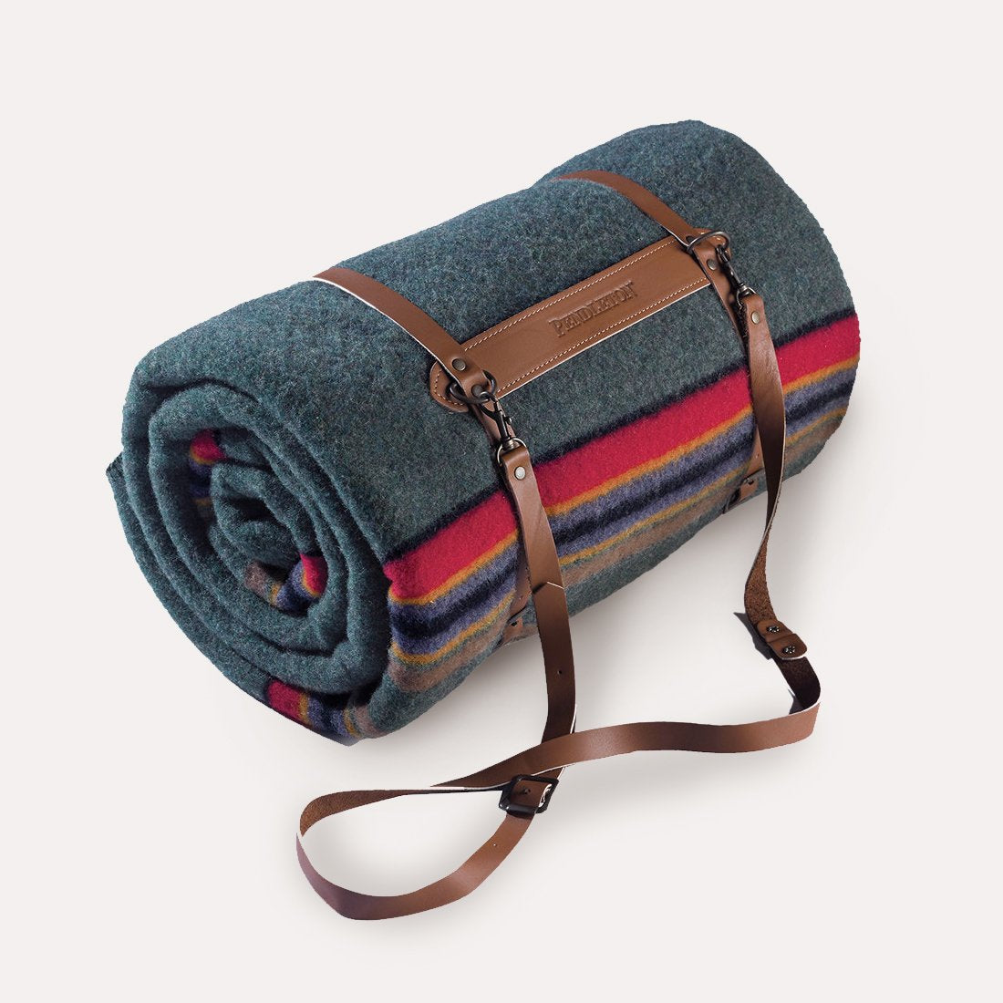 Blanket with carrier